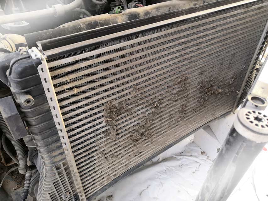 Does Ford’s Radiator Need Cleaning
